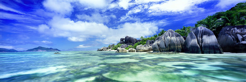 PARADISE POOL