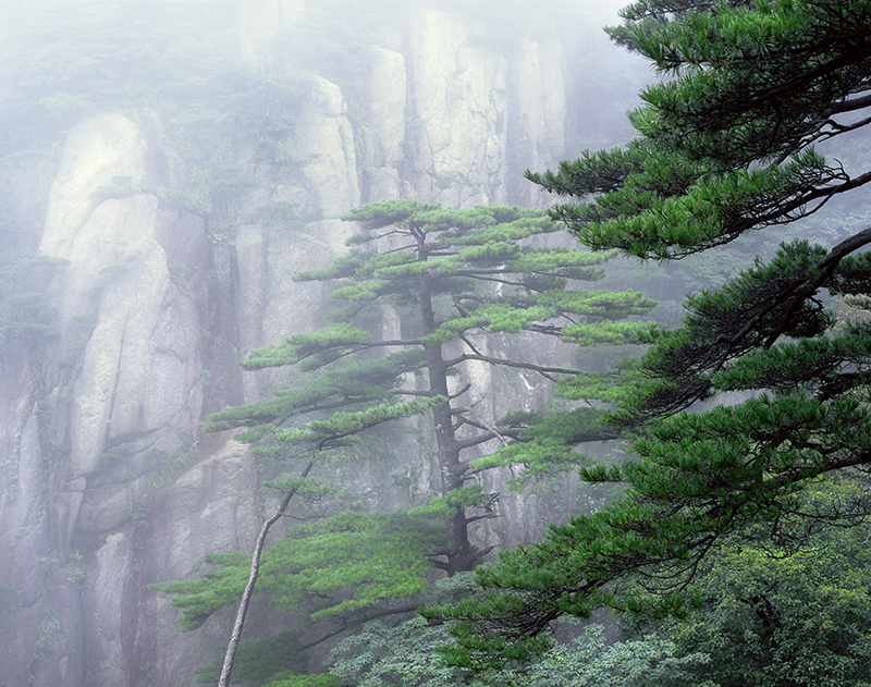 ZEN GARDEN
