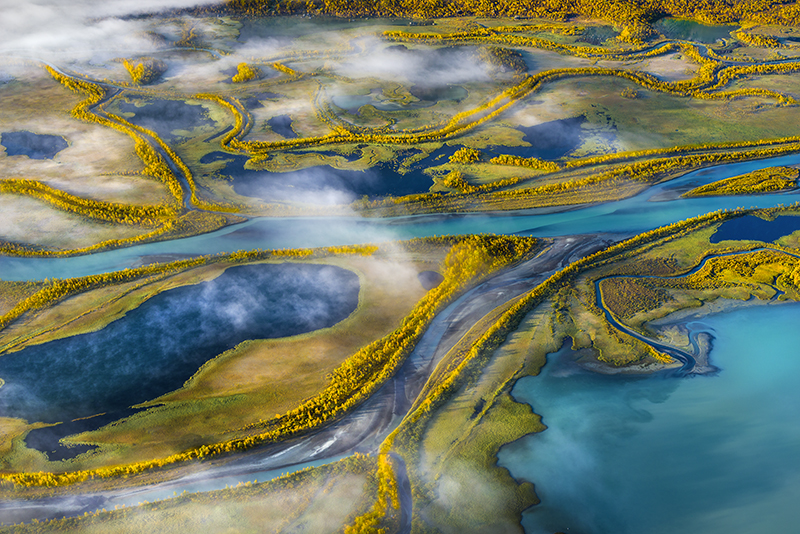 DREAMLAND INSPIRATION