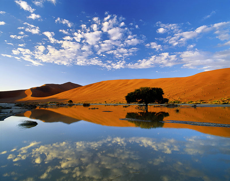 DESERT ILLUSION