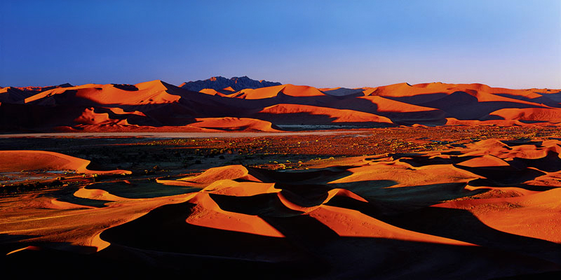DESERT LIGHT