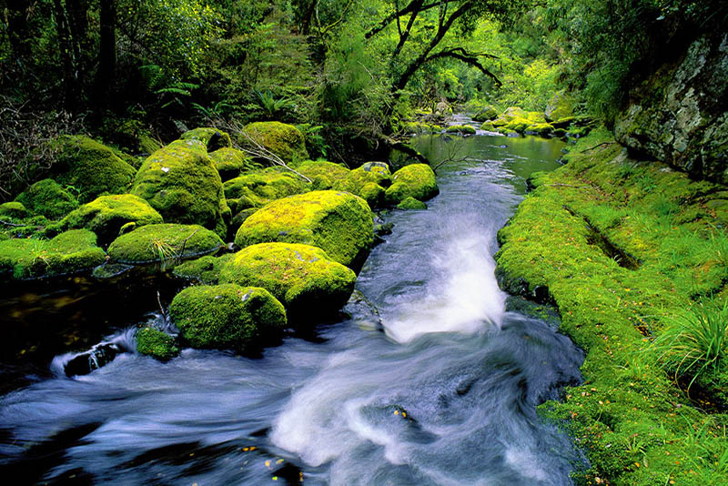 PRISTINE WATERS