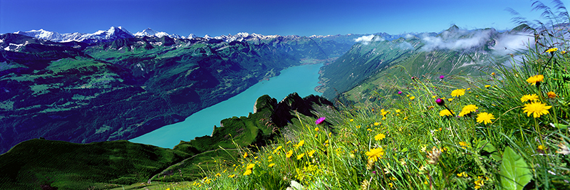 MOUNTAIN SUMMER