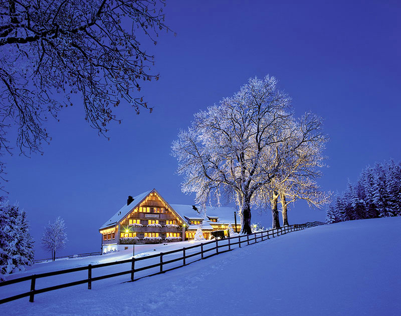 WINTER ILLUMINATION