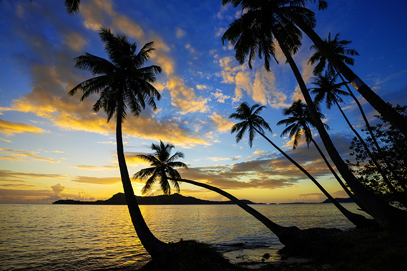 PARADISE REFUGE
